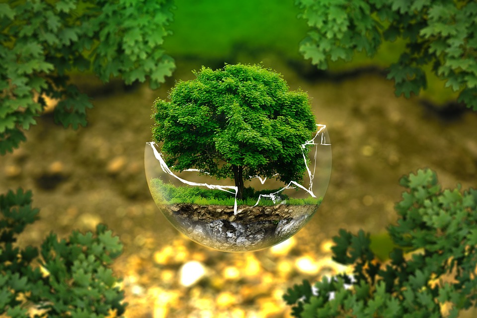 environnement et développement durable