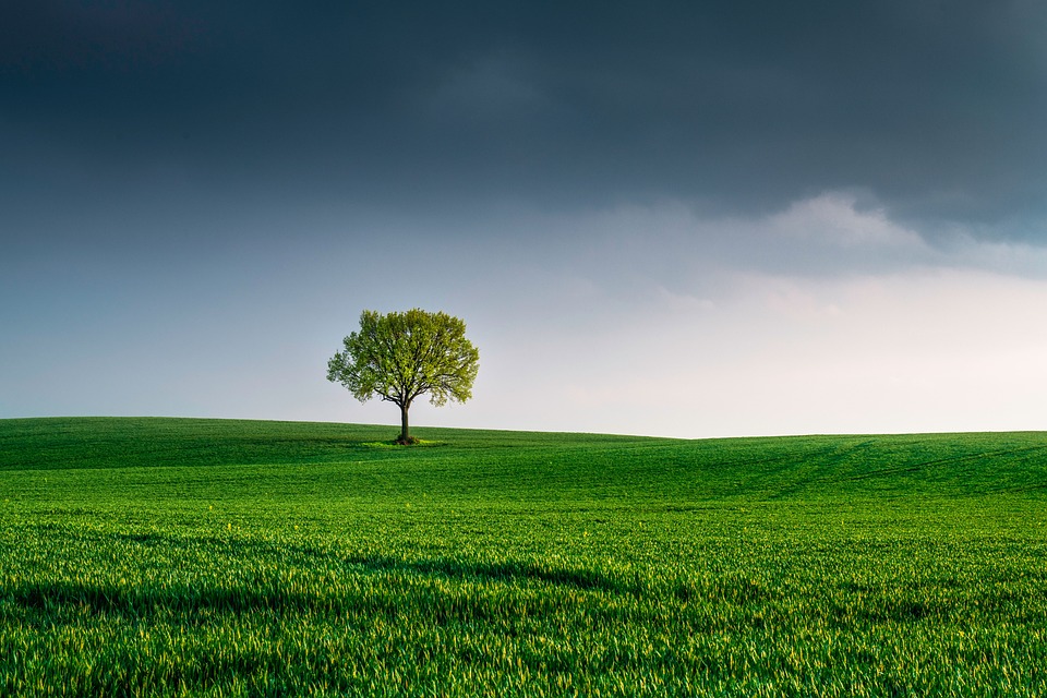école spécialisée en environnement